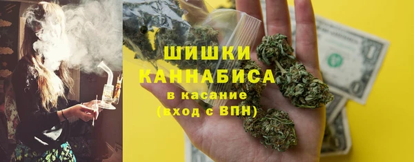 прущие грибы Алзамай