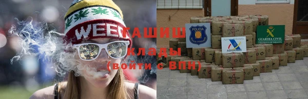 прущие грибы Алзамай