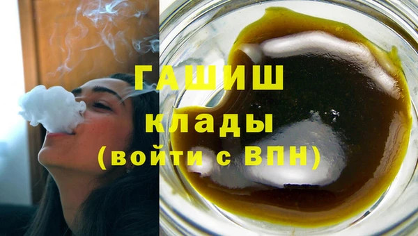 прущие грибы Алзамай