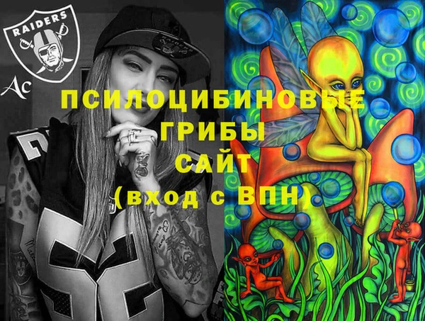 прущие грибы Алзамай
