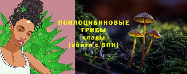 прущие грибы Алзамай