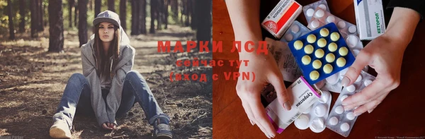 шишки Алексин