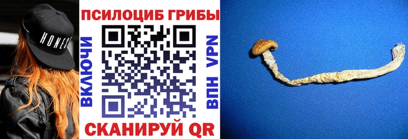 Псилоцибиновые грибы Magic Shrooms  Куса 